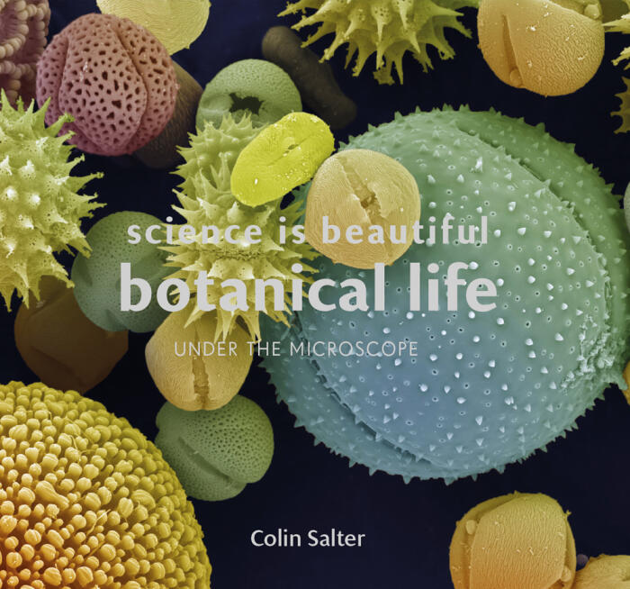 Science Is Beautiful: Botanical Life: Under the Microscope