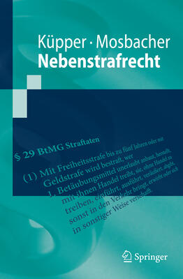 Nebenstrafrecht (Springer-Lehrbuch)