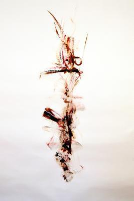 Scorned Beauty Comes Up From Behind: Preverbs