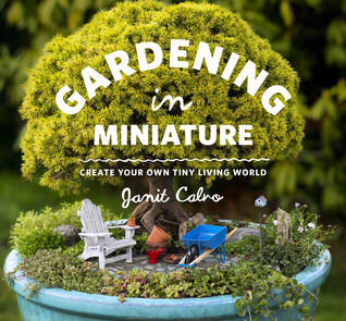 Gardening in Miniature:  Create Your Own Tiny Living World