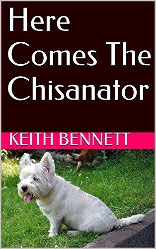 Here Comes The Chisanator
