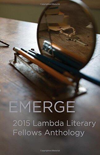 Emerge: 2015 Lambda Fellows Anthology