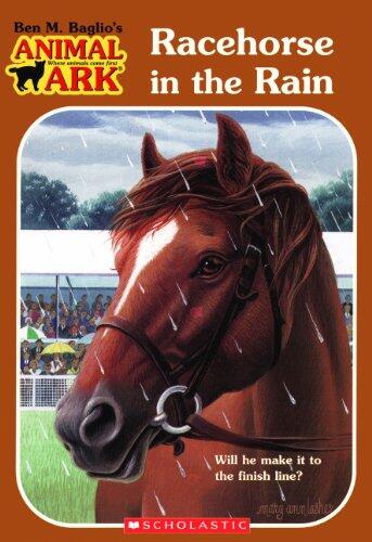 Racehorse In The Rain