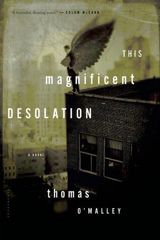 This Magnificent Desolation: A Novel