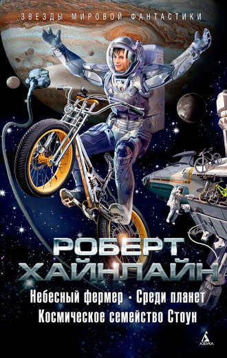 Космическое семейство Стоун