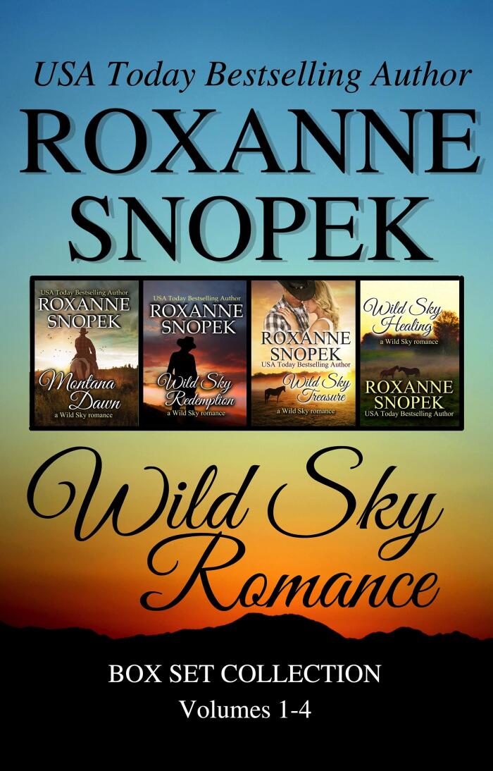 Wild Sky Romance Box Set
