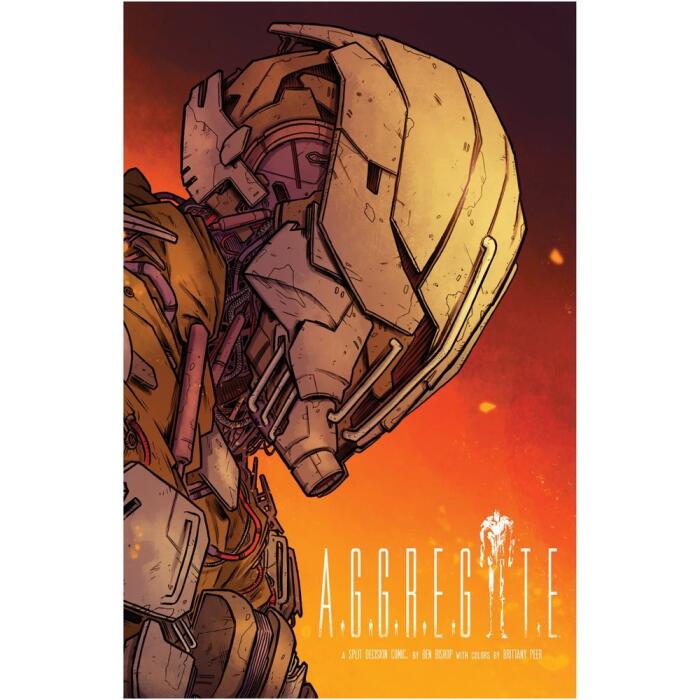 The Aggregate