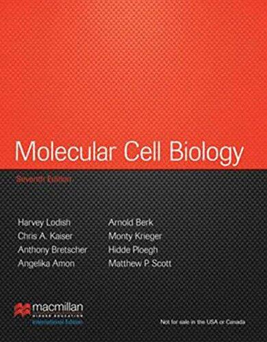 Molecular Cell Biology plus LaunchPad access card: International Edition