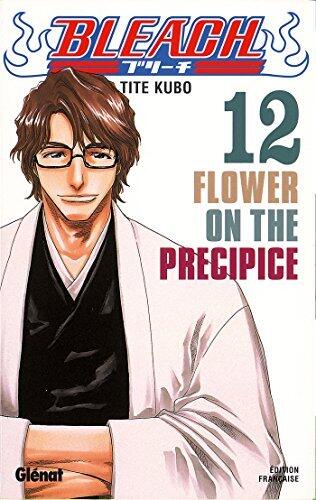 Bleach - Tome 12: Flower on the precipice