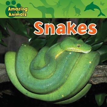 Snakes
