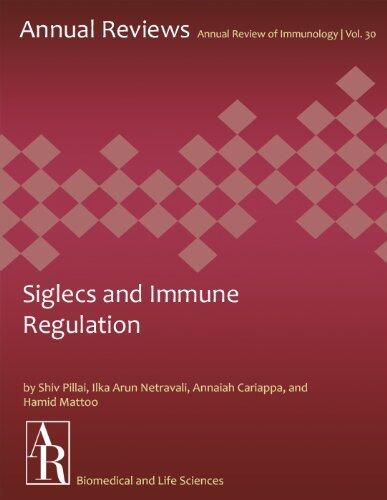 Siglecs and Immune Regulation