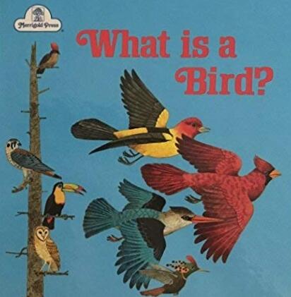What Is a Bird?