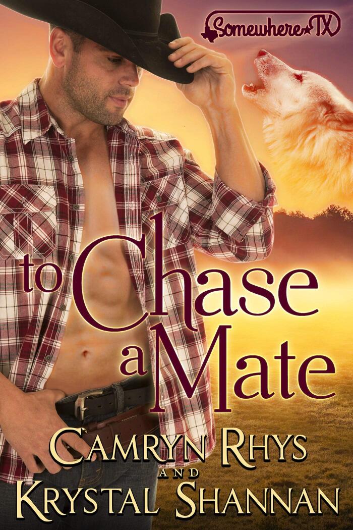 To Chase a Mate: Somewhere, TX