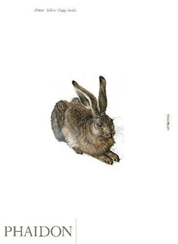 Dürer (Art & Ideas)