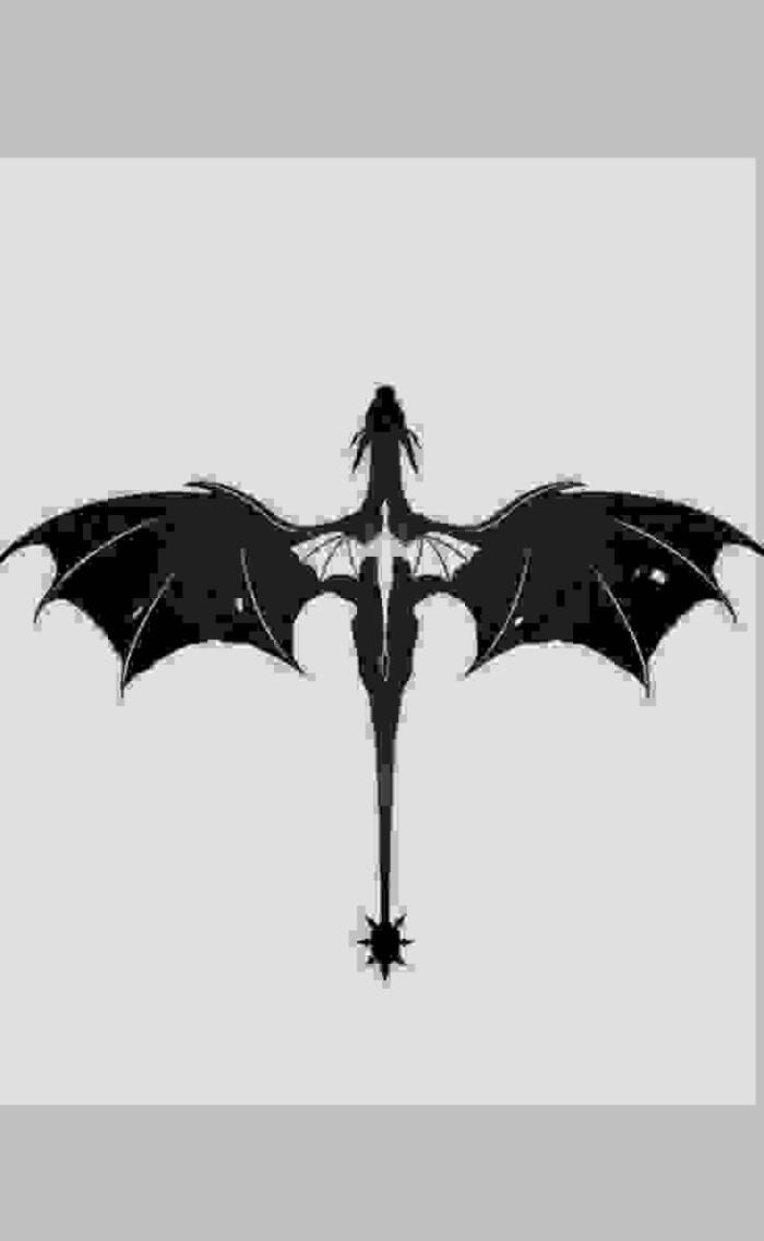 Fourth Wing