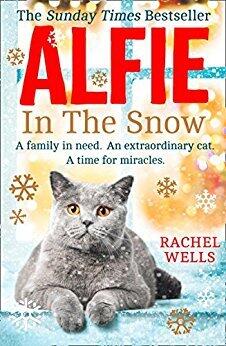 Alfie in the Snow
