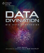 Data Divination: Big Data Strategies