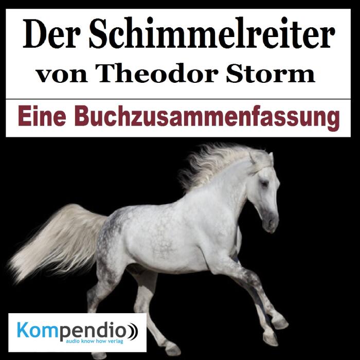 Der Schimmelreiter: Eine Buchzusammenfassung