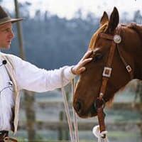 Buck Brannaman