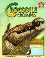 Crocodile Crossing