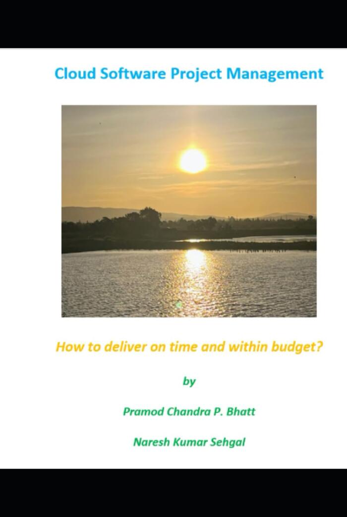 Cloud Software Project Management: How to Deliver on Time and Within Budget?
