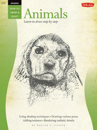 Drawing: Animals