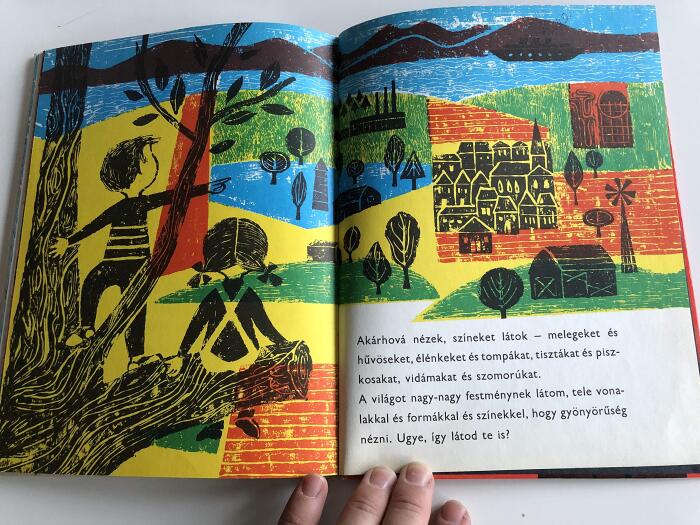 Látod amit én látok? / Hungarian edition of Do you see what I see?
