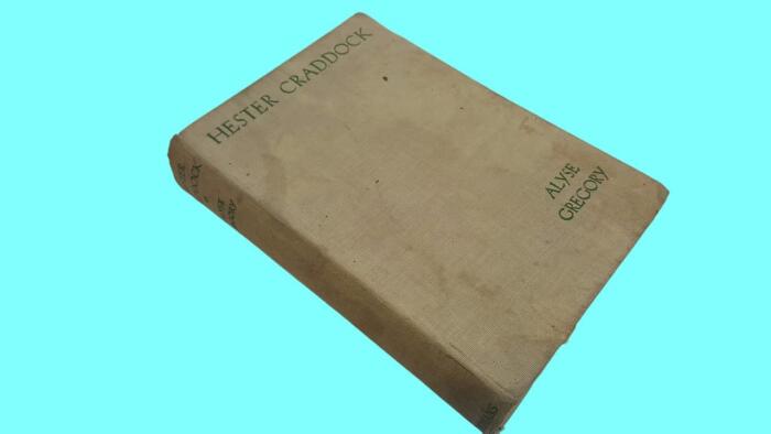 Rare Hester Craddock [Presentation Copy] [Hardcover] Gregory, Alyse