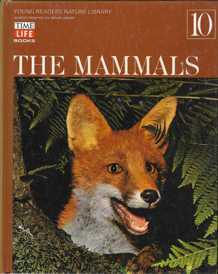 The Mammals