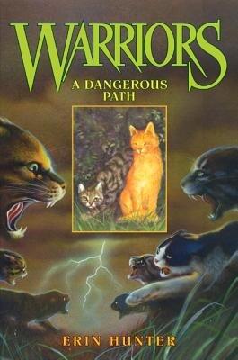 A Dangerous Path[WARRIORS #05 DANGEROUS PATH][Hardcover]