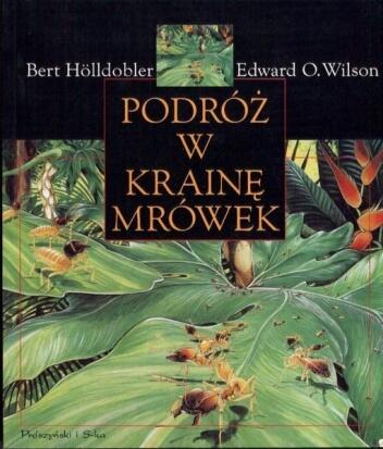 Podróż w krainę mrówek: Dzieje badań naukowych