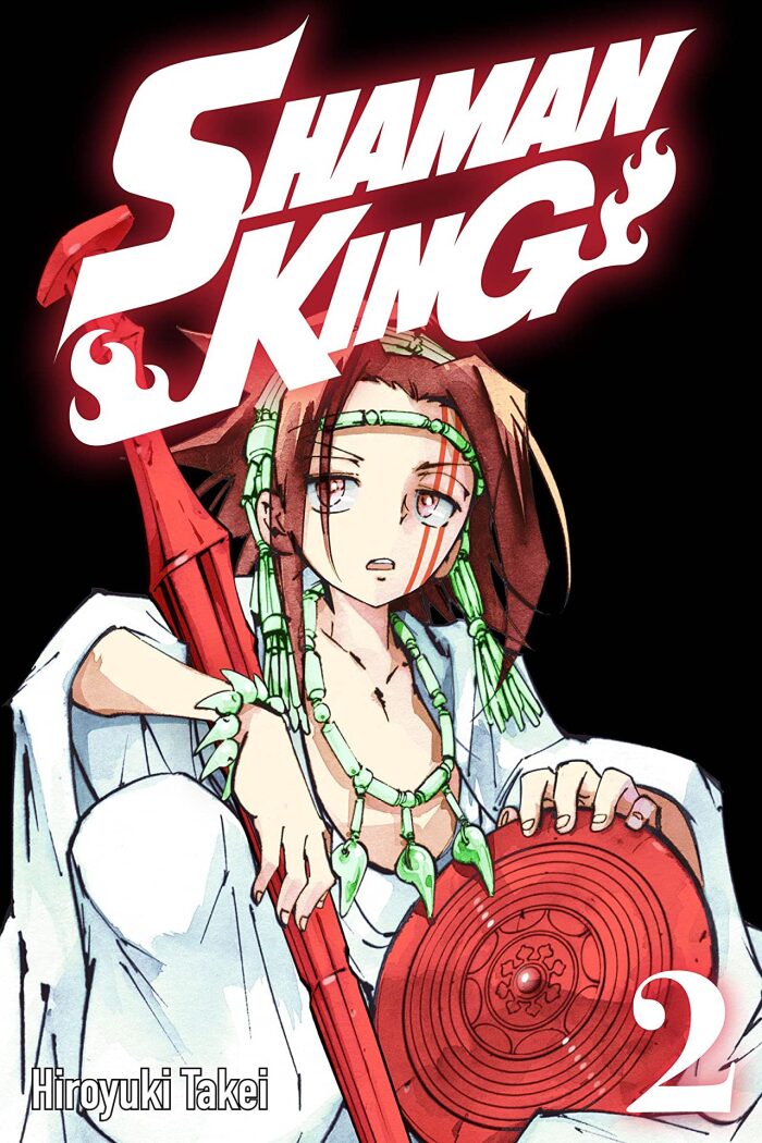 Shaman King, Vol. 2: Kung-Fu Master