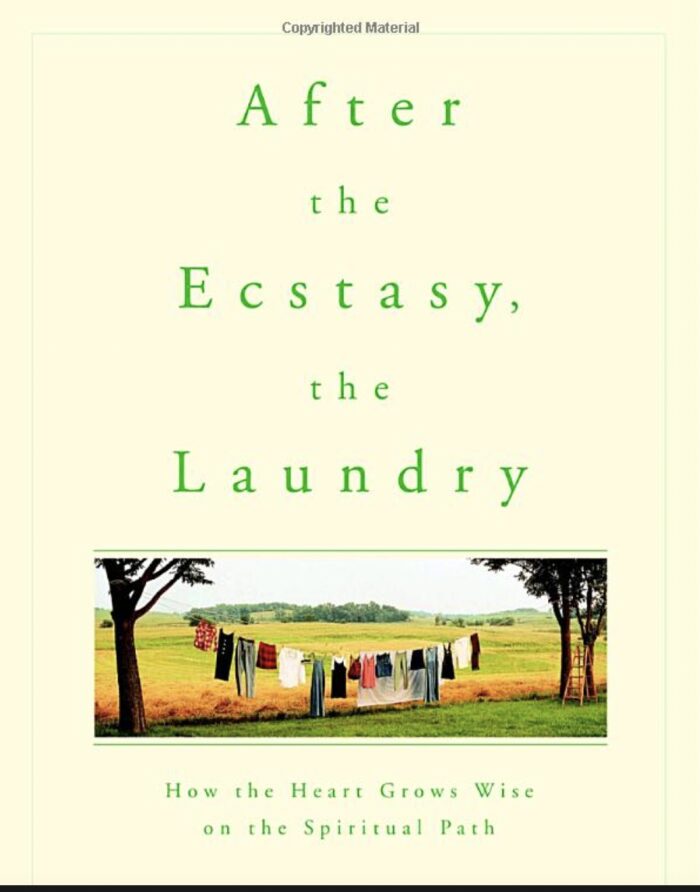 After the Ecstasy, the Laundry: How the Heart Grows Wise on the Spiritual Path