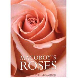 Macoboy's roses