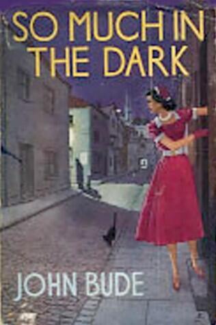 So Much in the Dark