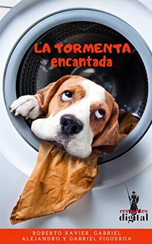 La Tormenta Encantada: Las aventuras de Gabriel y Roberto