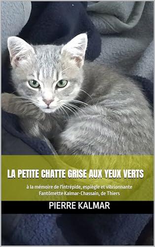 La petite chatte grise aux yeux verts: à la mémoire de l'intrépide, espiègle et vibrionnante Fantômette Kalmar-Chassain, de Thiers.