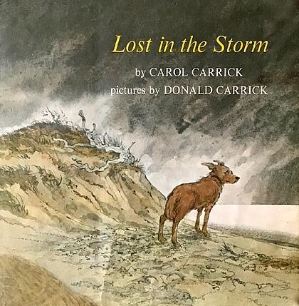 Lost in the Storm