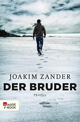 Der Bruder: Thriller aus Schweden (Klara Walldéen 2)