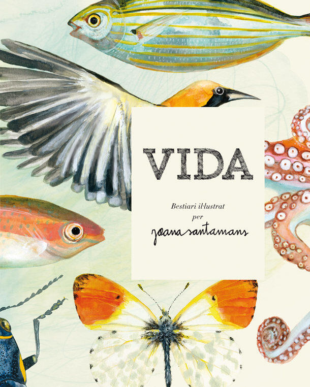 Vida.