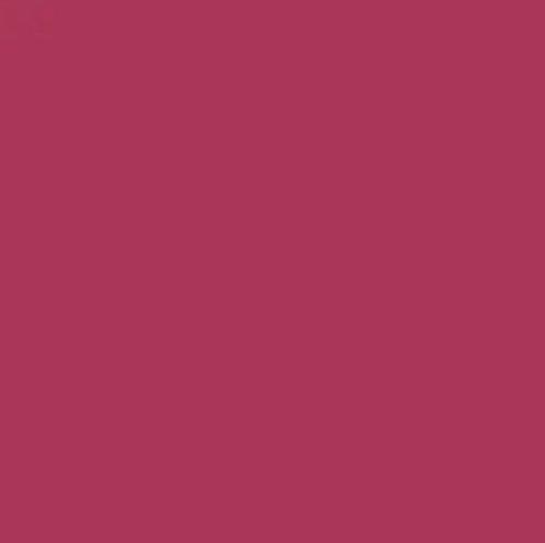 Classic Notebook (Pocket, Plain, Magenta, Hard Cover)