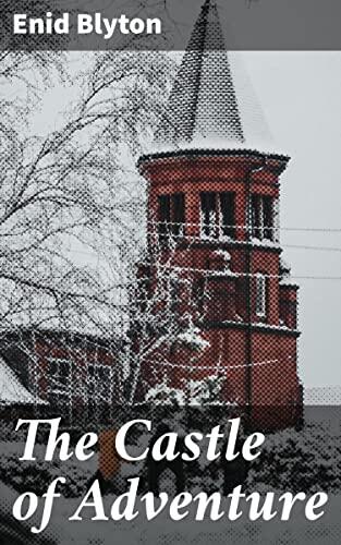 The Castle of Adventure: Mysterious Adventures in a Forgotten Castle: A Delightful Tale for Young Readers