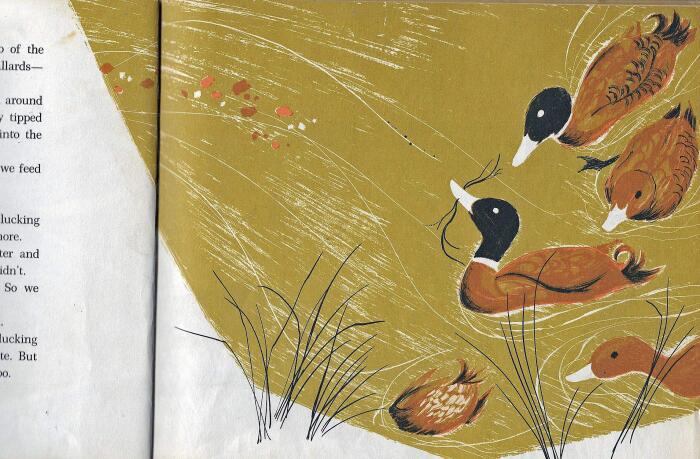 Wild Ducks and Daffodils
