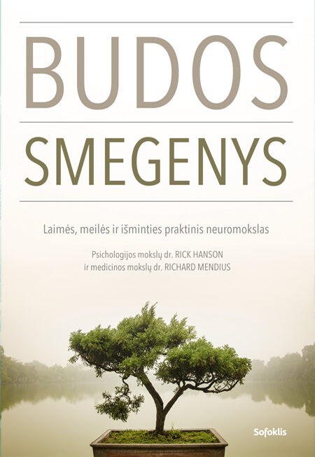 Budos smegenys: laimės, meilės ir išminties praktinis neuromokslas