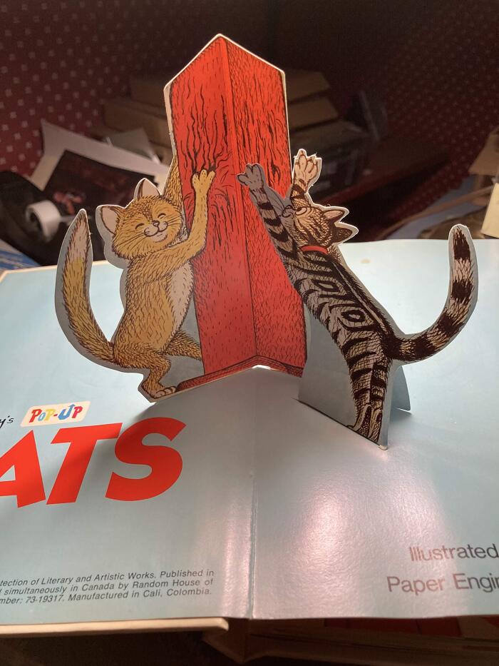 Eric Gurney's Pop-Up Book of Cats
