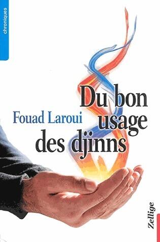 Du bon usage des djinns