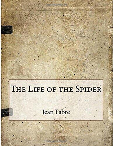 The Life of the Spider