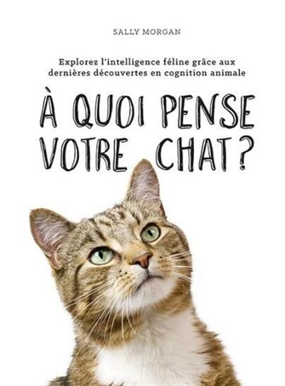 À quoi pense votre chat?
