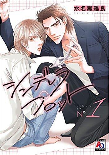 シンデレラ プロット 1 [Cinderella Plot 1]