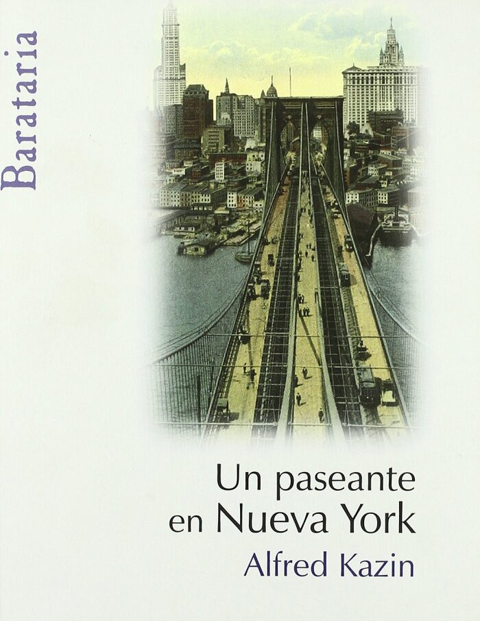 Un paseante en Nueva York